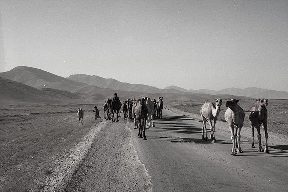 Province Ghazni
