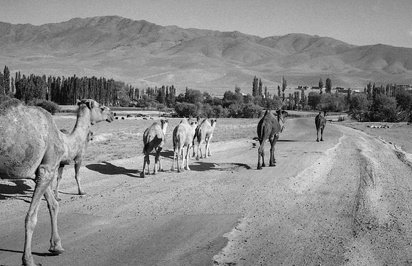 Ghazni