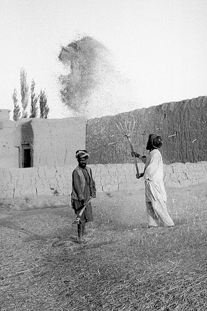 Baraki Barak