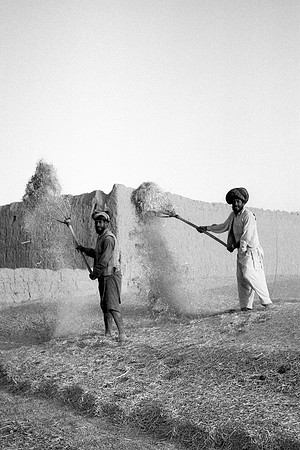 Baraki Barak
