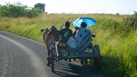 Route Majunga Marovoay