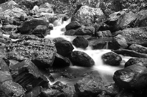 Yunque NP