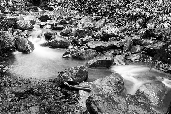 Yunque NP