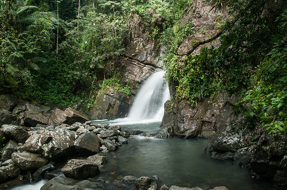 Yunque NP