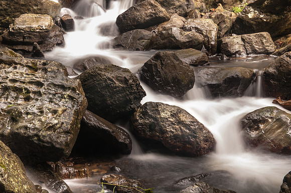 Yunque NP