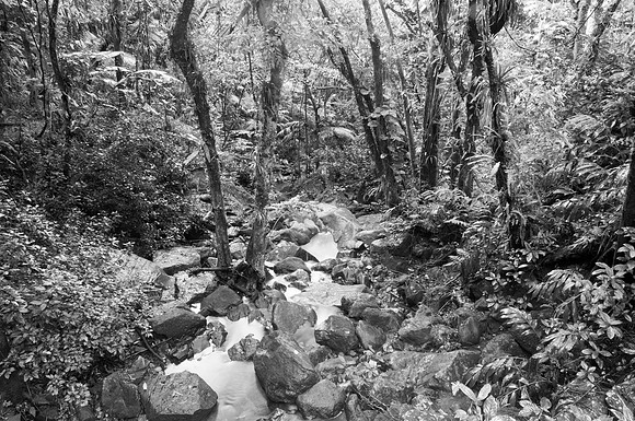 Yunque1 NP
