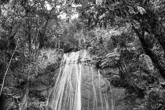 Yunque NP