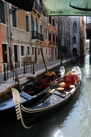 Venise-fev 2012