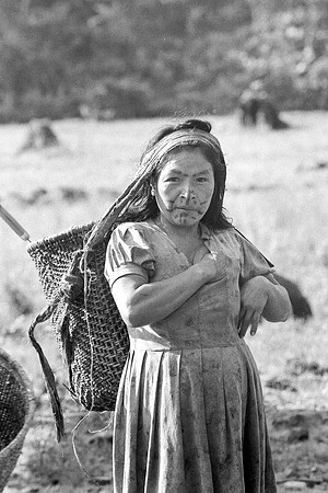 Consuelo