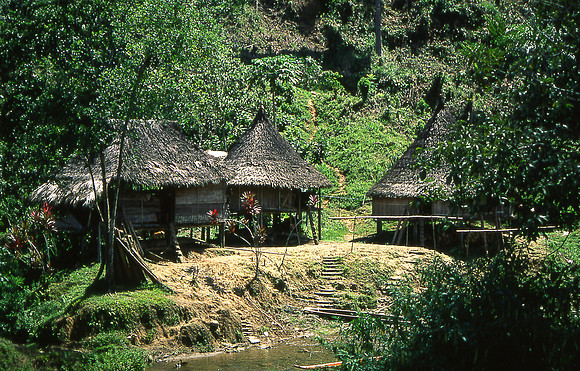Comunidad embera