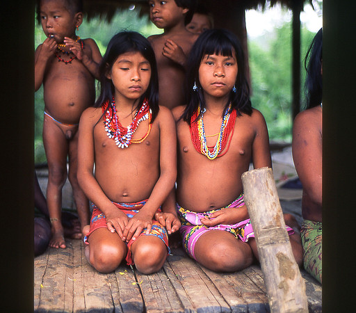 Emberas