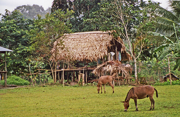 27112004-File0800b
