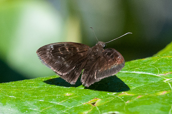 26072015-_DSC7363