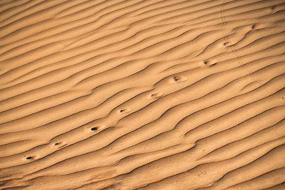 Désert Oman-6097