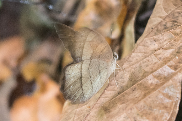DSC_1154