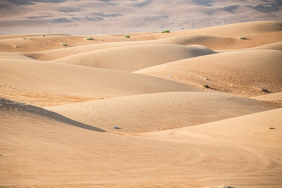 Désert Oman-5690