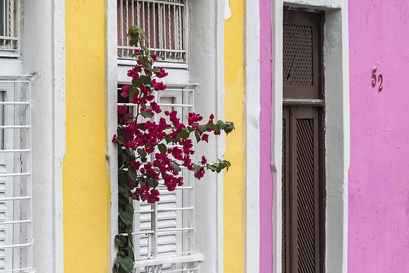 Olinda_1612