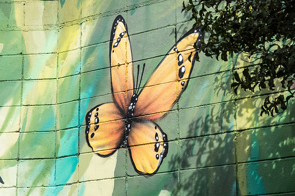 Street art Sao Paulo_5603