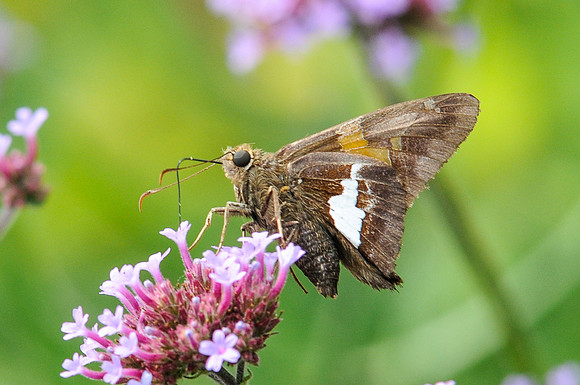 22072012-_DSC4338