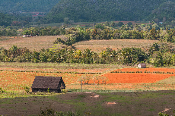 Vinales