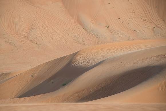 Désert Oman-5665