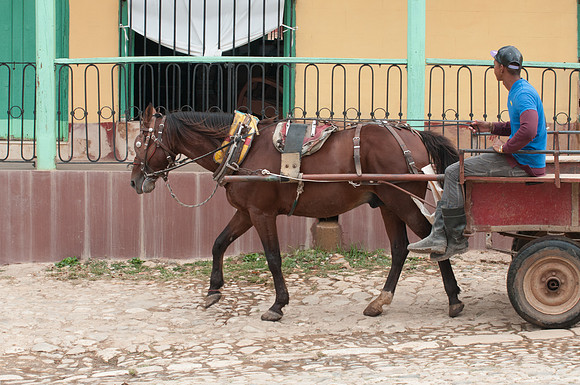 Trinidad 6331