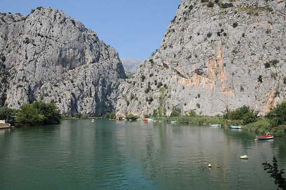 Omis-8561