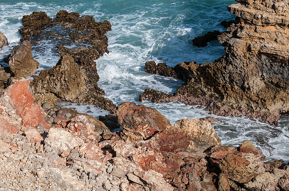 _DSC1717