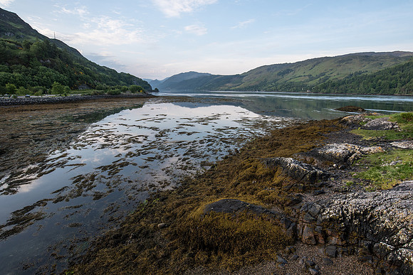 Ecosse