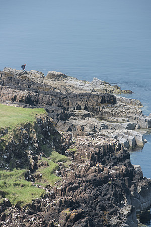 Ecosse