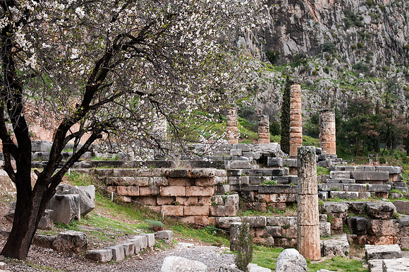 Delphes (33)