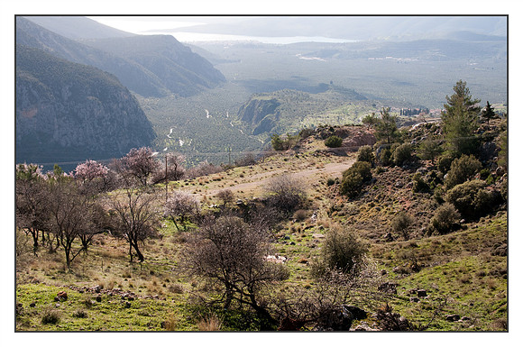 Delphes (42)