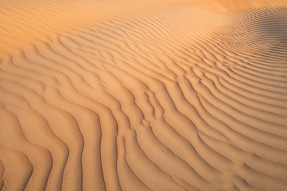 Désert Oman-5770
