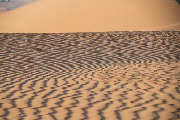Désert Oman-6045