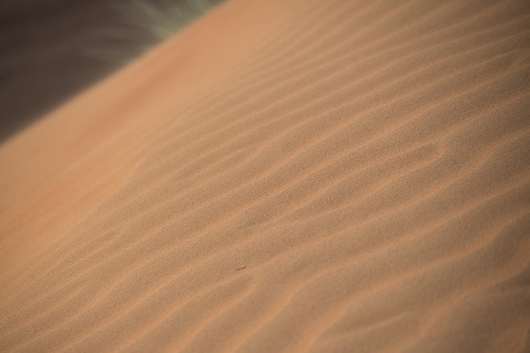 Désert Oman-5709