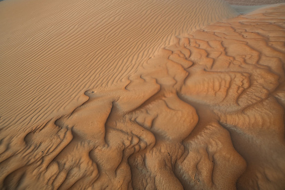 Désert Oman-5961