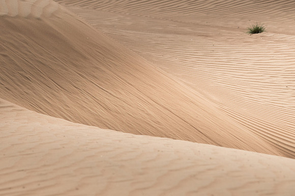 Désert Oman-5607