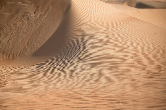 Désert Oman-5651