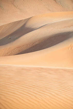 Désert Oman-5663