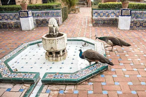 Ronda_8227 - Palacio Mondragon