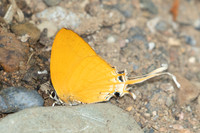 Ticherra acte-1675- Chiang Dao - 18/03/25