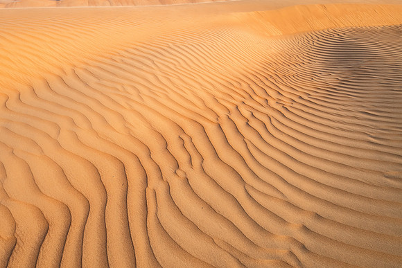Désert Oman-5769