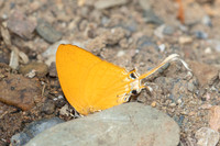 Ticherra acte-1683- Chiang Dao - 18/03/25
