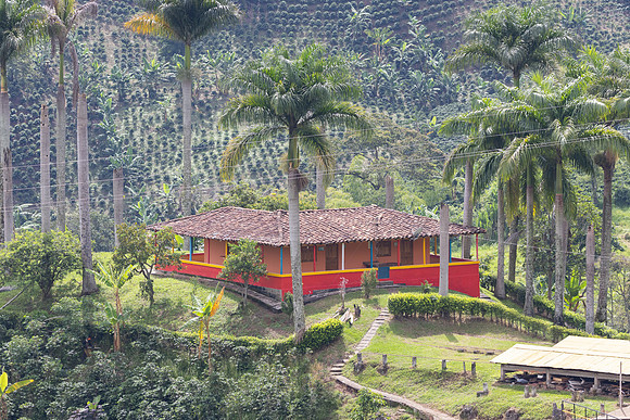 Jardin-4864