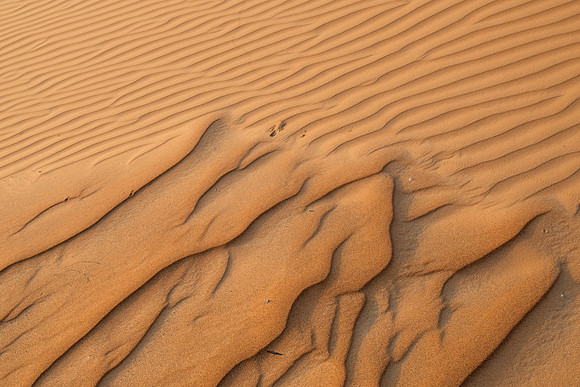 Désert Oman-5991