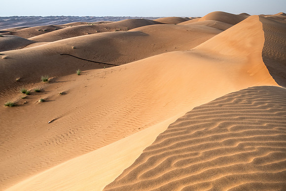 Désert Oman-5731