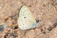 Una usta-6052