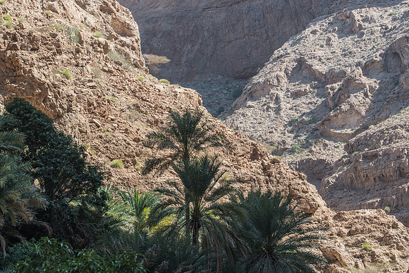 Wadi shab Oman-6422