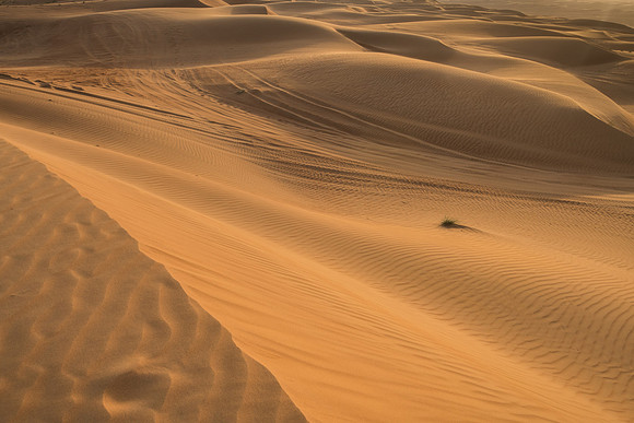 Désert Oman-5753