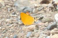Ticherra acte-1664 - Chiang Dao - 18/03/25